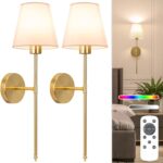 NIORSUN Battery Operated Wall Sconce Set of 2,Gold Rechargeable Wall Lights with 5200mAh Dimmable Bulbs and Remote,10 Colors Wireless Wall Lamps for Bedroom Living Room Hallway Decor