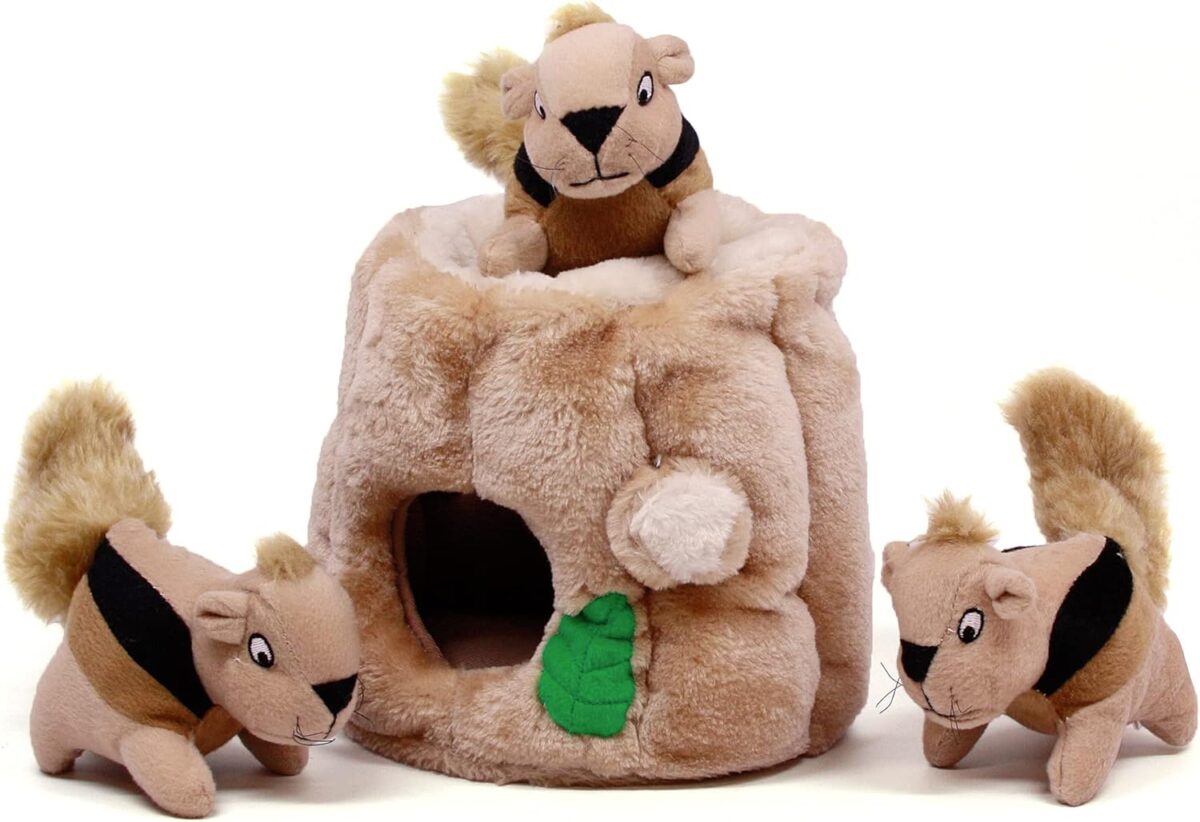 Outward Hound Hide A Squirrel Plush Dog Toy Puzzle - Image 1