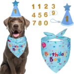 Dog Birthday Party Supplies
