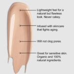 Organic Aloe-Based LUX Liquid Foundation, Natural Vegan Gluten-Free Made in USA, Nutmeg