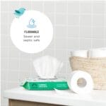 Amazon Brand – Mama Bear Fragrance Free Hypoallergenic Flushable Toddler Toilet Wipes, 336 Count (8 Packs of 42)