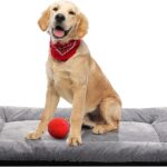 Dog Beds Crate Pad for Medium/Large Dogs