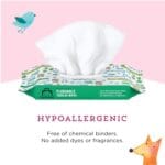 Amazon Brand – Mama Bear Fragrance Free Hypoallergenic Flushable Toddler Toilet Wipes, 336 Count (8 Packs of 42)