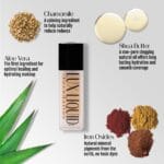 Organic Aloe-Based LUX Liquid Foundation, Natural Vegan Gluten-Free Made in USA, Nutmeg