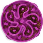 Outward Hound Fun Feeder Slo Bowl