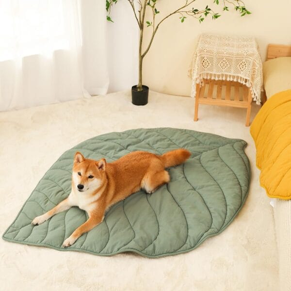 FUNNY FUZZY Dog Blanket, Pet Blanket for Couch