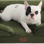 Bedsure Orthopedic Dog Bed