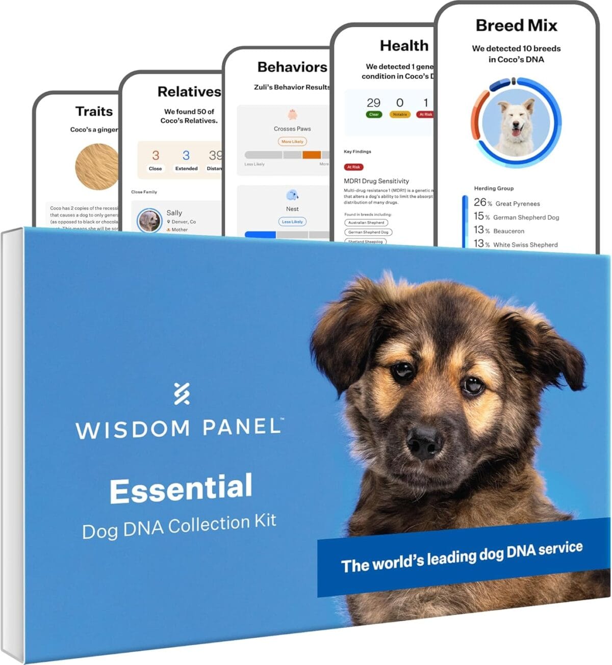Wisdom Panel Essential Dog DNA Kit - Image 1