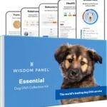 Wisdom Panel Essential Dog DNA Kit
