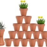 vensovo 3 Inch Terra Cotta & Terracotta Pots with Drainage - 20 Pack Clay Flowerpots, Succulent Nursery Planter Great for Plants, Crafts, Wedding Favor