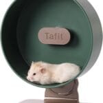 Quiet Hamster Wheel 10.2 Inch Dual-Bearings Silent Small Animals Running Exercise Wheel Height Adjustable for Syrian Dwarf Hamsters, Gerbils, Rats, or Other Small Pets, Avocado Green