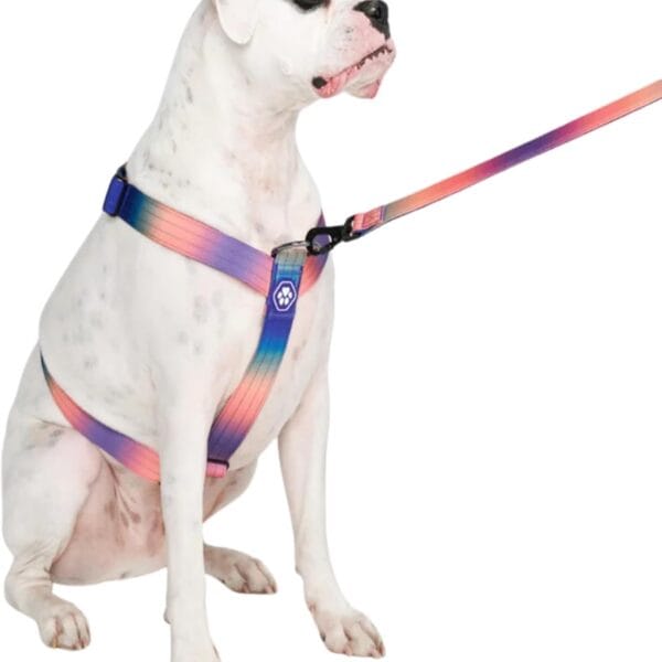Spark Paws no-pull dog harness