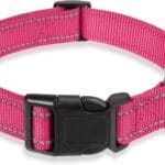 Reflective Dog Collar with Buckle