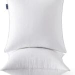 MIULEE 20 x 20 Pillow Inserts (Set of 2) -Throw Pillows for Couch Sofa with 100% Cotton Covers