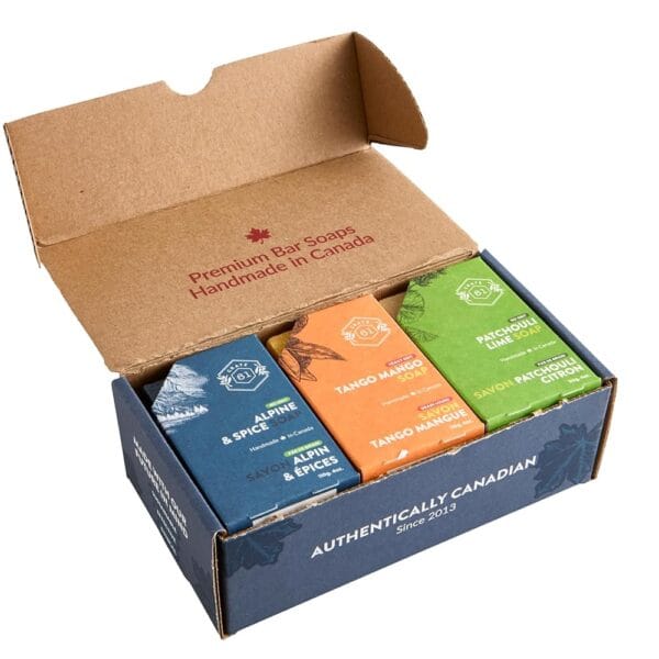 Handmade in Canada, Plant Based Cold Process Natural Bar Soap, With Premium Essential Oils, Dry Skin, Pack of 6 (For Him)
