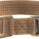 Carhartt Fully Adjustable Nylon Webbing Collars for Dogs