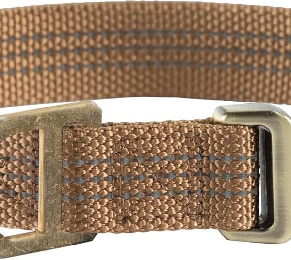 Carhartt Fully Adjustable Nylon Webbing Collars for Dogs