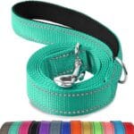 Joytale Double-Sided Reflective Dog Leash, 6 FT/5 FT/4 FT, Padded Handle Nylon Heavy Duty Leashes for Medium & Large Dogs Walking, Teal, 6FT