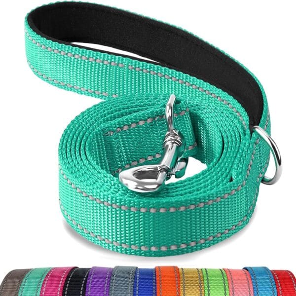 Joytale Double-Sided Reflective Dog Leash, 6 FT/5 FT/4 FT, Padded Handle Nylon Heavy Duty Leashes for Medium & Large Dogs Walking, Teal, 6FT