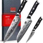 SHAN ZU Damascus Knife Set, Japanese Super Steel 3 PCS Damascus High Carbon Professional Ultra-Sharp Kitchen Chef Knife Set with G10 Handle Gift Box