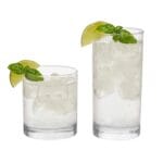 Libbey Province Tumbler and Rocks Glass Set, Elegant Drinkware Glasses Set, Tall Drinking Glasses with Modern Lines, Drinking Glasses Set of 16
