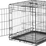 Amazon Basics Durable, Foldable Metal Wire Small Dog Crate with Tray, Single Door, 24 x 18 x 20 in, Black