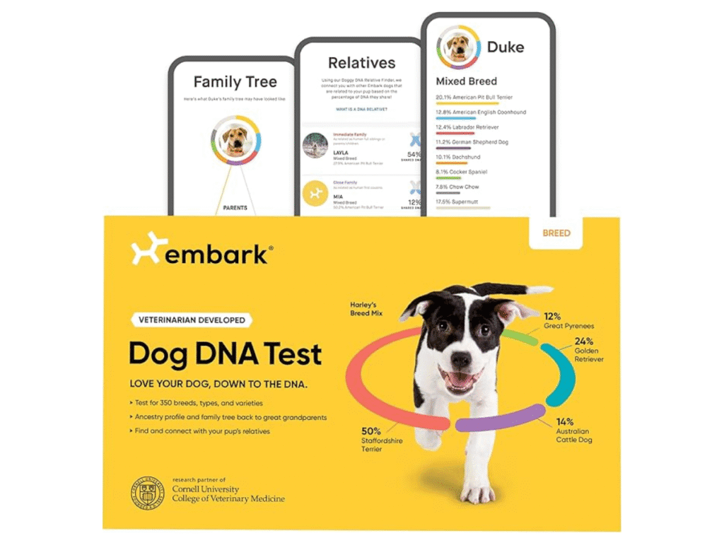 Dog's DNA