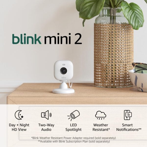 Blink Mini 2 (Newest Model)  Home Security & Pet Camera(s) with HD video, color night view, motion detection, two-way audio, and built-in spotlight  2 cameras (White)