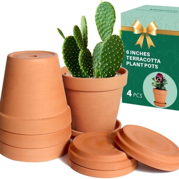 vensovo 6 Inch Terracotta & Clay Pots for Plant with Saucer - 4 Pack Medium Terra Cotta Planter with Drainage Hole, Flowerpot for Indoor Outdoor Plants, Crafts, Wedding Favor