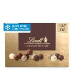 Lindt Gourmet Chocolate Truffles Gift Box, Assorted Chocolate Candy for Mother's Day Gifts, 26 Count, 14.7 oz. Box