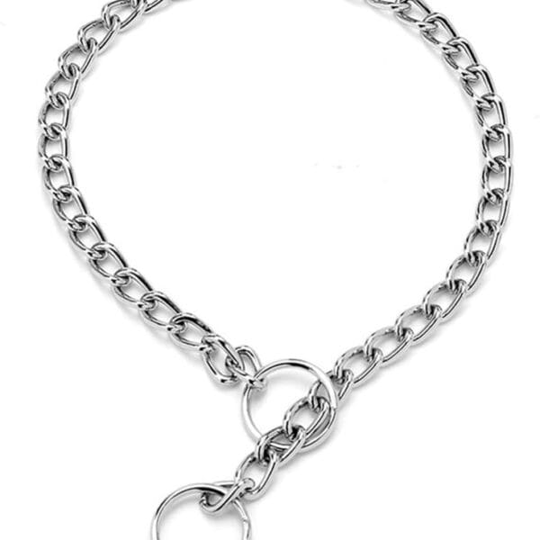 Choker Collar for Dogs Silver Metal Slip Link Dog Chain Collar Heavy Duty Training Martingale Dog Collars for XXS XS Small Medium Large Breed Pets Boys Girls, Silver S