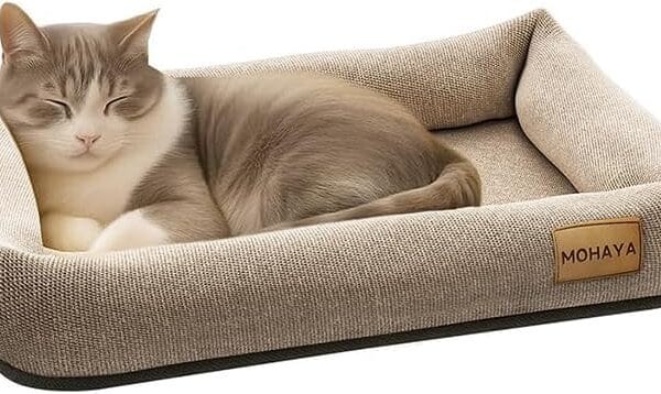 Jute Pet Bed-L, 2-in-1 Small Dog Bed & Scratch Pad  Breathable Jute & Cotton Dual-Layer Design, Eco-Friendly Lounger with Cooling Comfort for Summer  Washable, Durable, Non-Slip Base