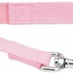 Coastal - New Earth Soy - Dog Leash, Rose, 1" x 06'