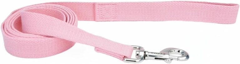 Coastal - New Earth Soy - Dog Leash, Rose, 1" x 06'