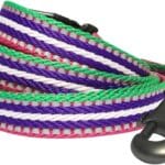 Blueberry Pet Reflective Dog Leash - Puppy Essentials, Gentle Leader for Dogs, Reflective Dog Collar & Leash, Eco-Friendly, Durable Nylon, Comfortable Handle for Active Pet Parents & Dogs That Pull