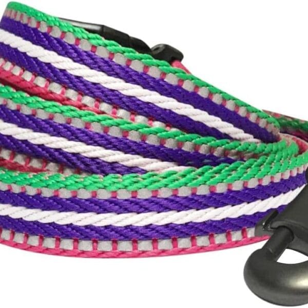 Blueberry Pet Reflective Dog Leash - Puppy Essentials, Gentle Leader for Dogs, Reflective Dog Collar & Leash, Eco-Friendly, Durable Nylon, Comfortable Handle for Active Pet Parents & Dogs That Pull