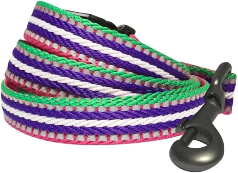Blueberry Pet Reflective Dog Leash - Puppy Essentials, Gentle Leader for Dogs, Reflective Dog Collar & Leash, Eco-Friendly, Durable Nylon, Comfortable Handle for Active Pet Parents & Dogs That Pull