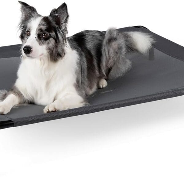 50" Lx32 Wx8 H Cooling Elevated Dog Bed for Large Dogs with Non-Slip Floor Protectors & Breathable Mesh, Raised Indoor & Outdoor Dog Cot Pet Hammock, Grey