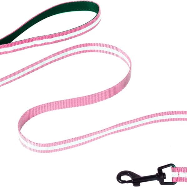 ABJOBIBI Single-Sided Reflective Dog Leash,Padded Handle Nylon Leashes for Medium & Small Dogs Walking, 6FT-(Pink) 1.0