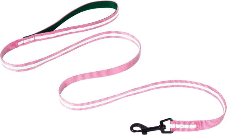 ABJOBIBI Single-Sided Reflective Dog Leash,Padded Handle Nylon Leashes for Medium & Small Dogs Walking, 6FT-(Pink) 1.0