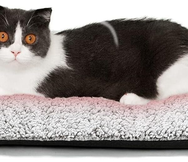 Self Warming Cat Bed Self Heating Cat Dog Mat 24 x 18 inch Extra Warm Thermal Pet Pad for Indoor Outdoor Pets with Removable Cover Non-Slip Bottom Washable Non Electric