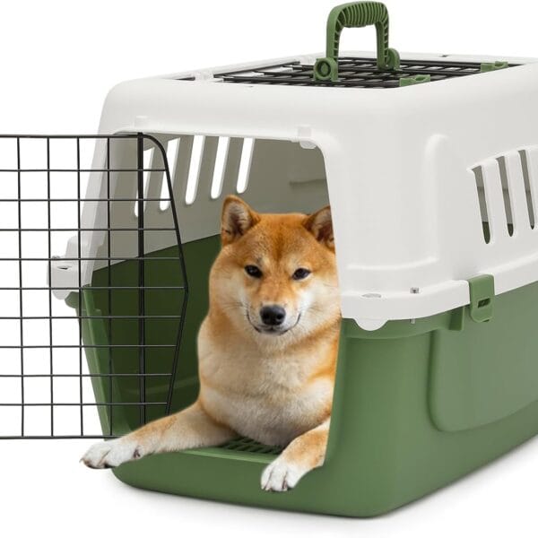 Athena Collection 22" Hard-Sided Travel Pet Carrier for Small Dogs and Cats, Plastic Dog Crate with 2-Door Top & Front Load, Ventilation, Security Lock, Cat Dog Carrier for Pet, up to 22lbs, Green