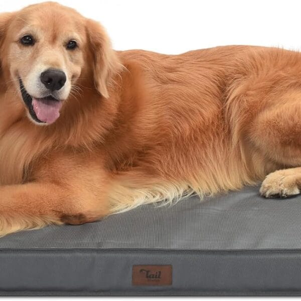 Outdoor Extra Large Dog Bed, Waterproof Dog Bed for Large Dogs, Egg Crate Foam XL Pet Bed with Removable Washable Oxford Cooling Cover, Grey