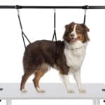H-Shape Dog Grooming Arm with Clamp, Pet Grooming Table Arm with 3 Loop Noose, 33" Height Adjustable and 38" - 50" Width Adjustable for Small/Medium/Large Dogs