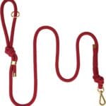 5FT No Pull Dog Leash for Small Medium Large Dogs - Rope Leash with Non Slip Handle & Metallic Golden-Toned Carabiner Clip (Burgundy Red)