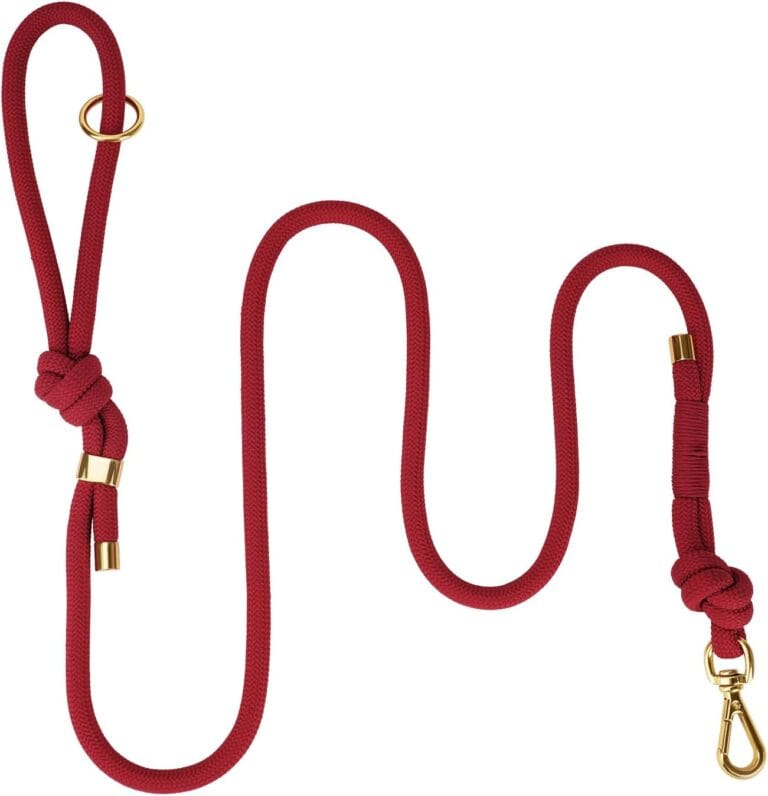 5FT No Pull Dog Leash for Small Medium Large Dogs - Rope Leash with Non Slip Handle & Metallic Golden-Toned Carabiner Clip (Burgundy Red)