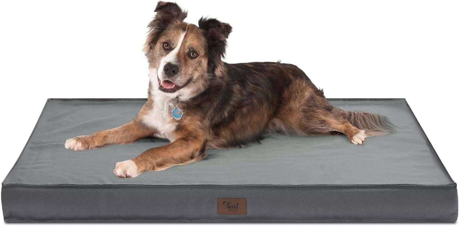 Orthopedic Dog Bed For Large Dogs, Outdoor Waterproof Dog Bed Washable Pet Bed For Large Sized Dogs With Egg Crate Foam Pet Bed Mat, Removable Oxford Cooling Cover, Grey Orthopedic Dog Bed for Large Dogs, Outdoor Waterproof Dog Bed Washable Pet Bed for Large Sized Dogs with Egg Crate Foam Pet Bed Mat, Removable Oxford Cooling Cover, Grey