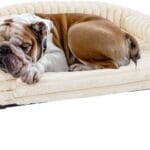 Veehoo Elevated Dog Bed with Bolster Cushion, Fluffy Plush Dog Couch Beds for Small Dogs, Cats, Washable Raised Pet Cot with Non-Slip Feet for Indoor or Patios Use, 36 x 28 Inches, White