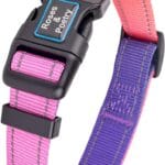 Roses&Poetry Reflective Dog Collar with Gradient Mistyrose, Adjustable Durable Pet Collars for Small Medium Large Dogs (Mistyrose-S)