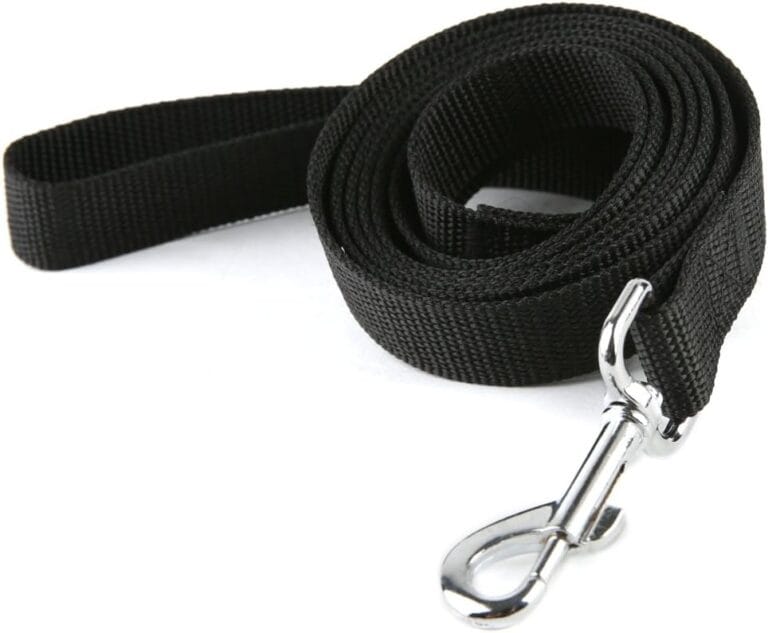 Nylon Dog Training Leash, Traction Rope, 4Ft /5 Foot /6 Feet Long, 5/8 inch 3/4 Inch 1 Inch Wide, for Small and Medium Dogs